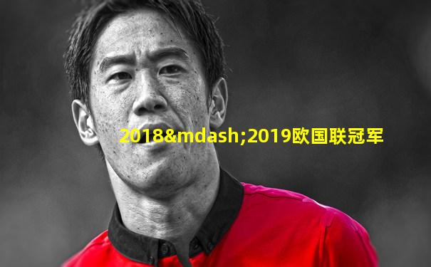 2018—2019欧国联冠军