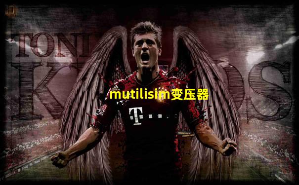 mutilisim变压器