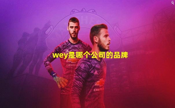 wey是哪个公司的品牌