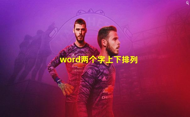 word两个字上下排列