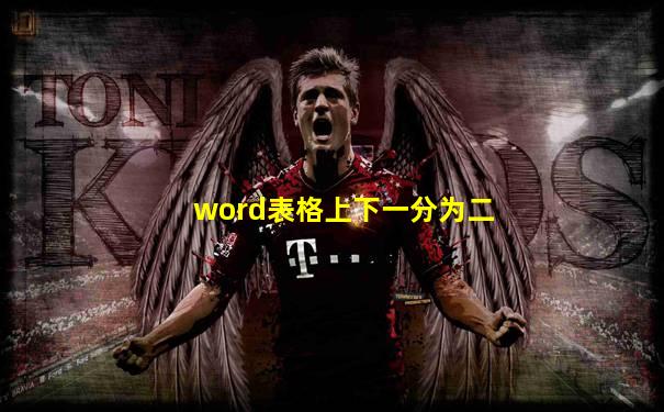 word表格上下一分为二