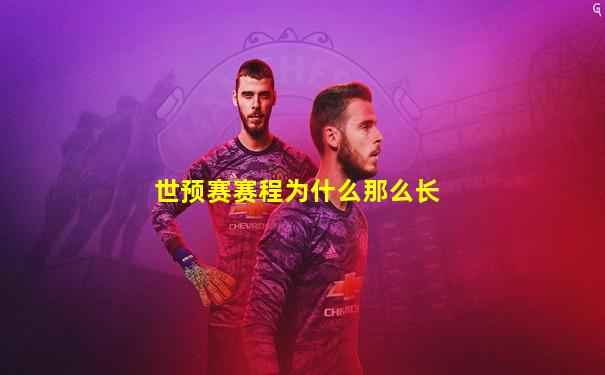 世预赛赛程为什么那么长