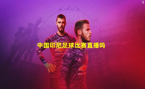 中国印尼足球比赛直播吗