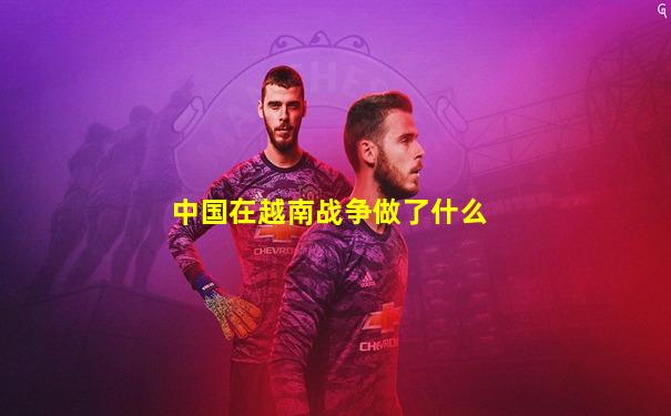 中国在越南战争做了什么
