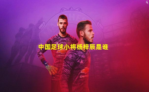 中国足球小将杨梓辰是谁