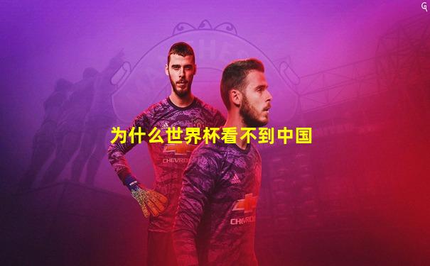 为什么世界杯看不到中国