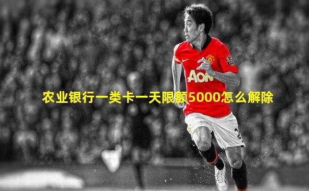 农业银行一类卡一天限额5000怎么解除