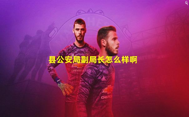 县公安局副局长怎么样啊