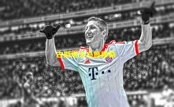 古斯塔夫冯施穆勒