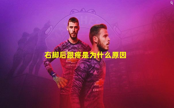 右脚后跟疼是为什么原因