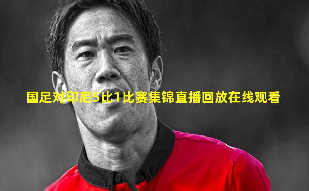 国足对印尼5比1比赛集锦直播回放在线观看
