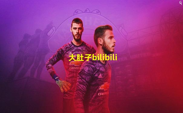 大肚子bilibili