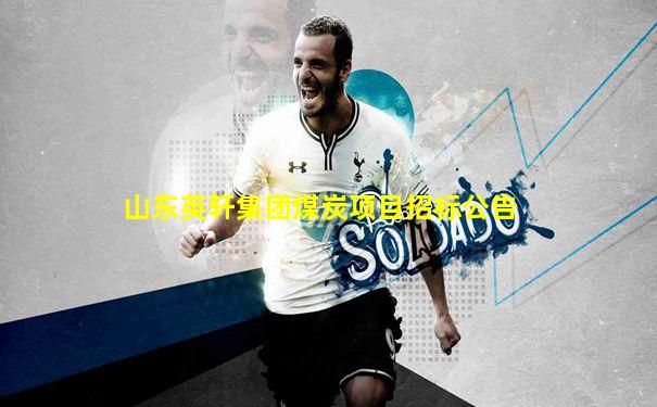 山东英轩集团煤炭项目招标公告