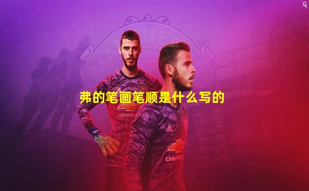 弗的笔画笔顺是什么写的