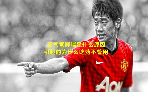 支气管哮喘是什么原因引起的为什么吃药不管用