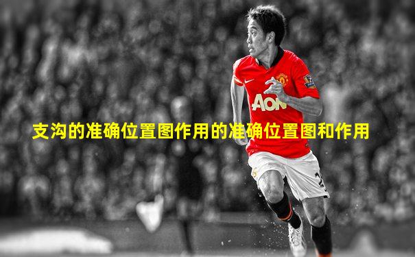 支沟的准确位置图作用的准确位置图和作用