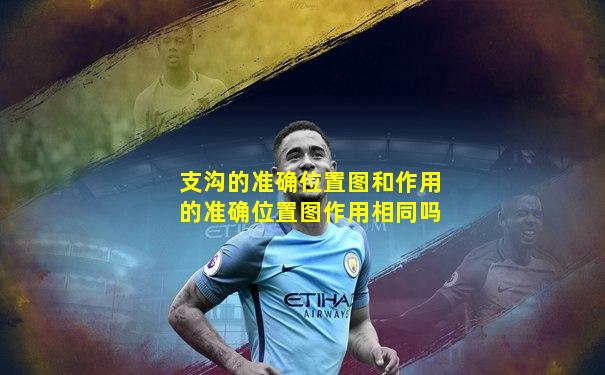 支沟的准确位置图和作用的准确位置图作用相同吗