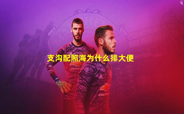 支沟配照海为什么排大便