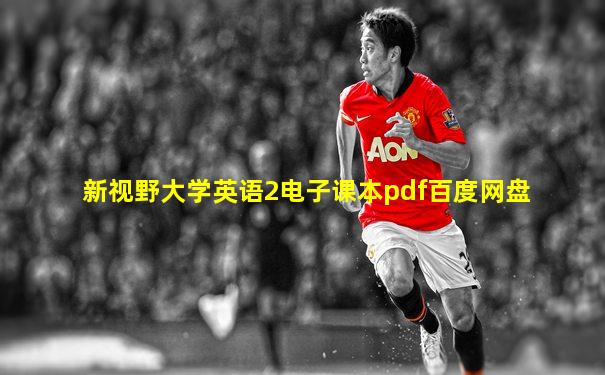 新视野大学英语2电子课本pdf百度网盘