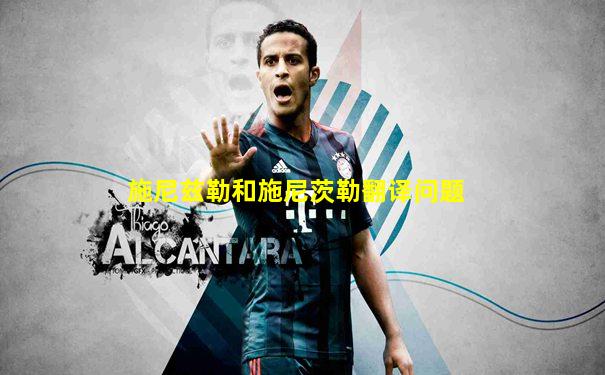 施尼兹勒和施尼茨勒翻译问题