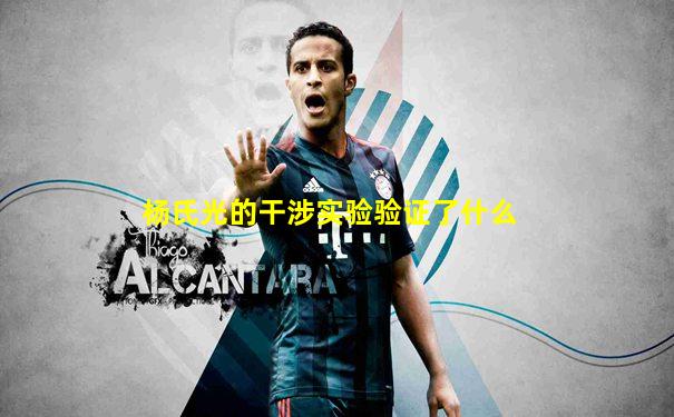 杨氏光的干涉实验验证了什么