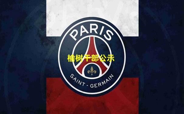 榆树干部公示