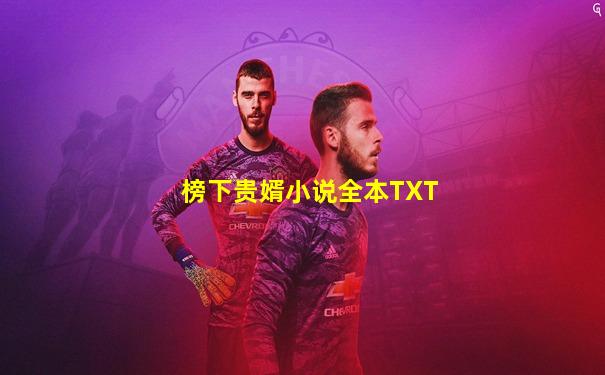 榜下贵婿小说全本TXT