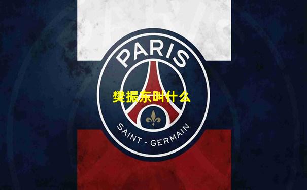 樊振东叫什么