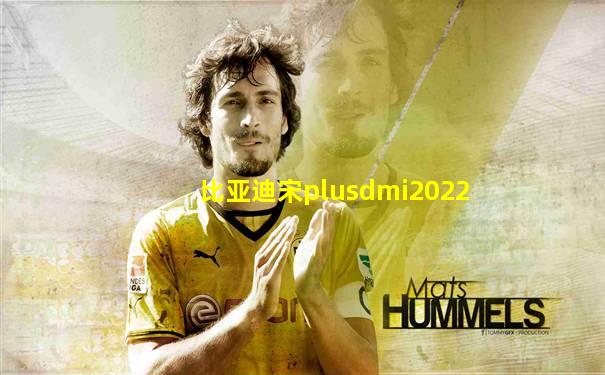 比亚迪宋plusdmi2022