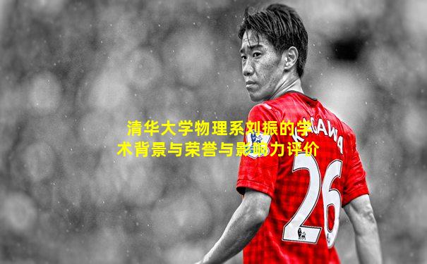清华大学物理系刘振的学术背景与荣誉与影响力评价
