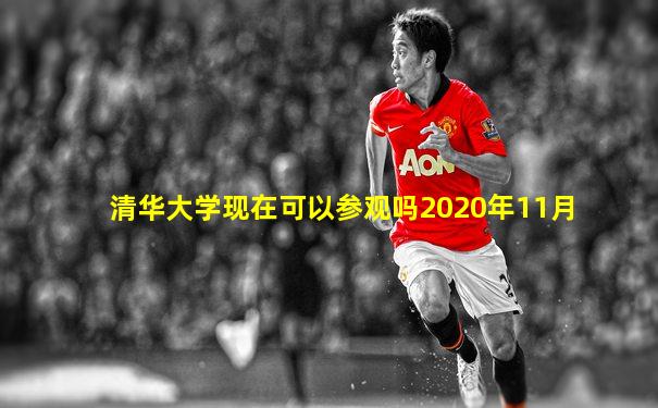 清华大学现在可以参观吗2020年11月