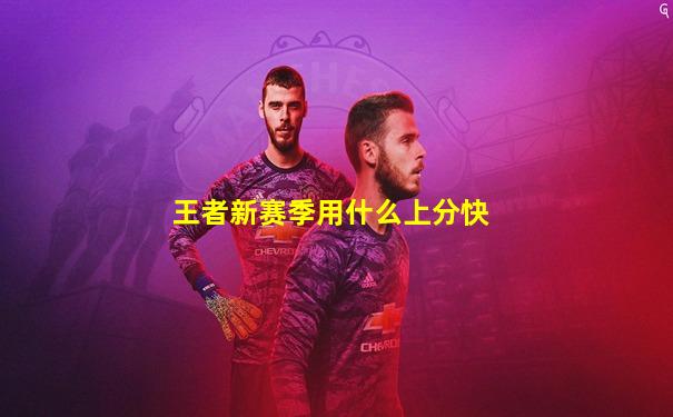 王者新赛季用什么上分快