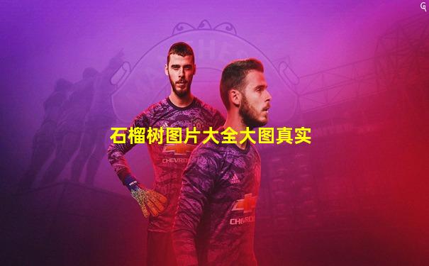 石榴树图片大全大图真实