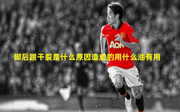 脚后跟干裂是什么原因造成的用什么油有用