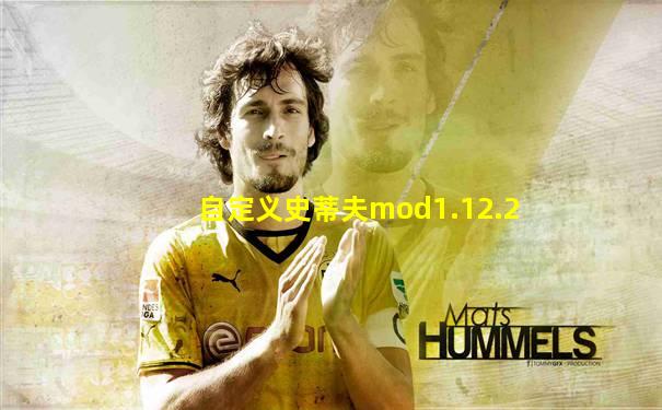 自定义史蒂夫mod1.12.2