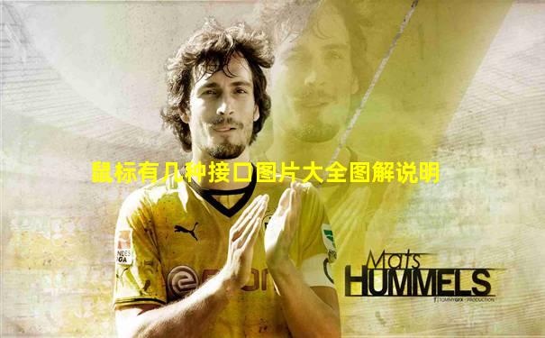 鼠标有几种接口图片大全图解说明